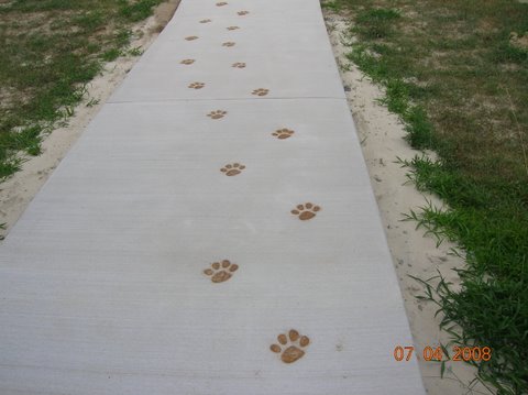 ANIMAL TRACK CONCRETE STAMPS PAGE ONE